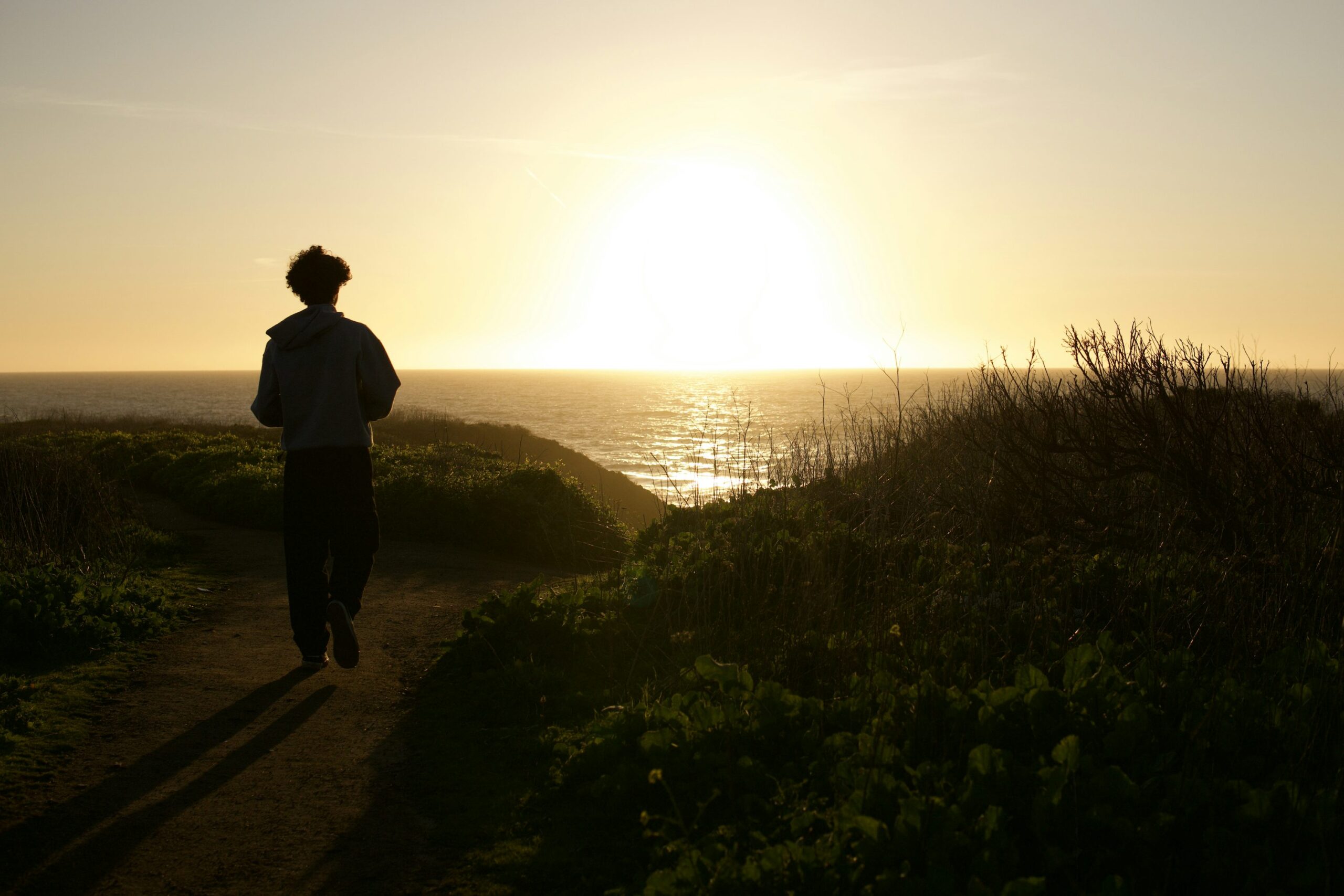 Menemukan Rasa Segar dalam Setiap Langkah