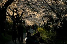 Menikmati Udara Segar dengan Cara yang Sederhana